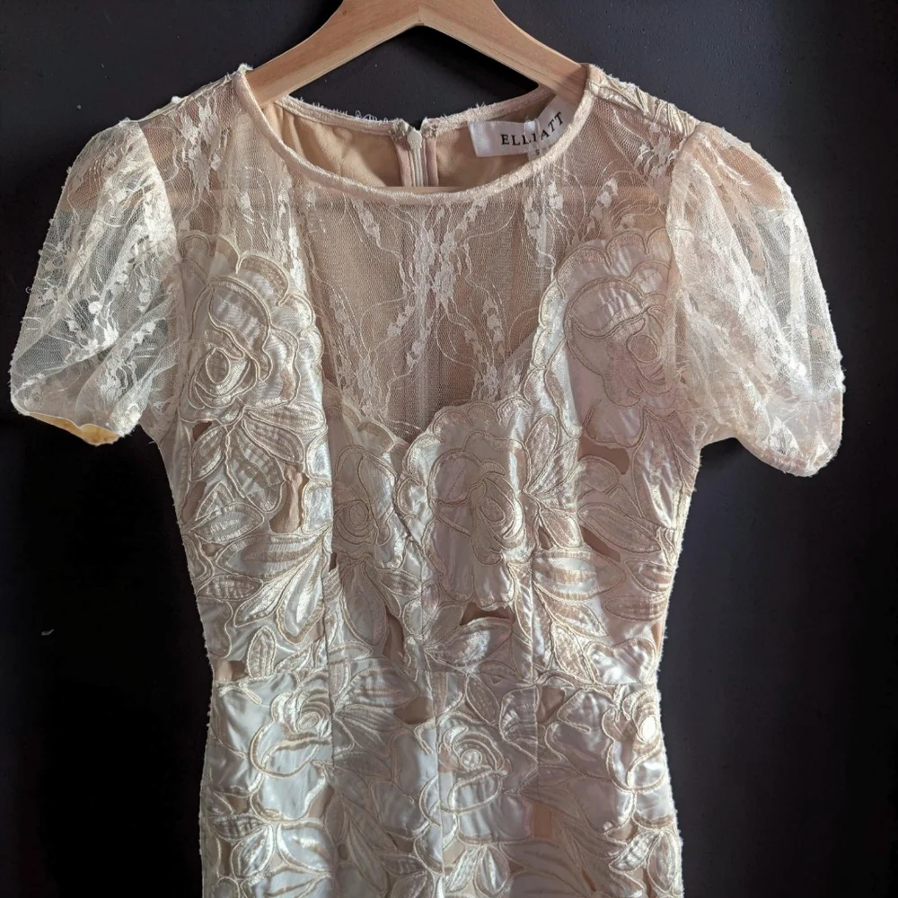 Elliatt Ambient Lace Dress In Champagne Size Small NWT - Picture 10 of 15